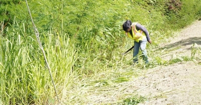 SSDF Launches 2025 Summer Stimulus Programme