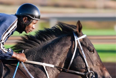 Community Togetherness: Independence Horse Race to Unite Citizens