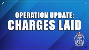 RSLPF Arrested and Charged Four Individuals