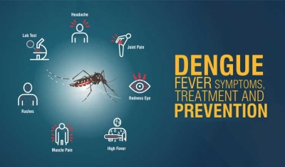 Ministry of Health Takes Proactive Measures Against Rising Dengue Fever Cases