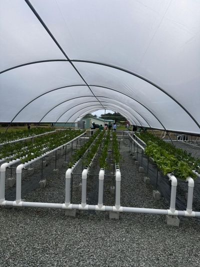 Ministry Unveils Cutting-Edge Hydroponic Facility to Boost Food Security