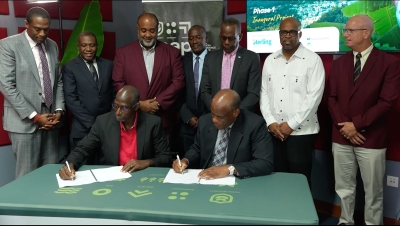 Government Launches Insurance Scheme to Protect Banana Farmers Amid Climate Threats