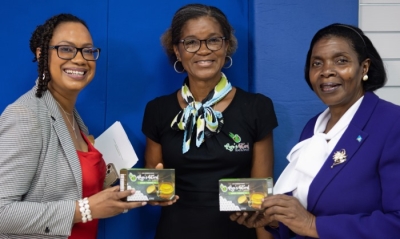 Export Saint Lucia Empowers Local Businesses through EXCELP Workshop on Social Media Marketing